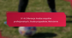Read more about the article 3-1-4-2 Wariacja: Analiza zespołów profesjonalnych, Studia przypadków, Wdrożenie